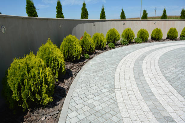 Best Professional Driveway Pavers  in Abbeville, SC